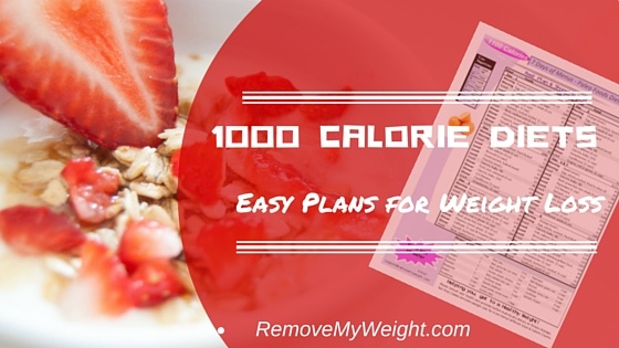 1000 Calorie Meal Plan Easy Diet