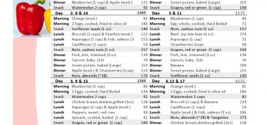 17 Day Diet Meal Plan Online